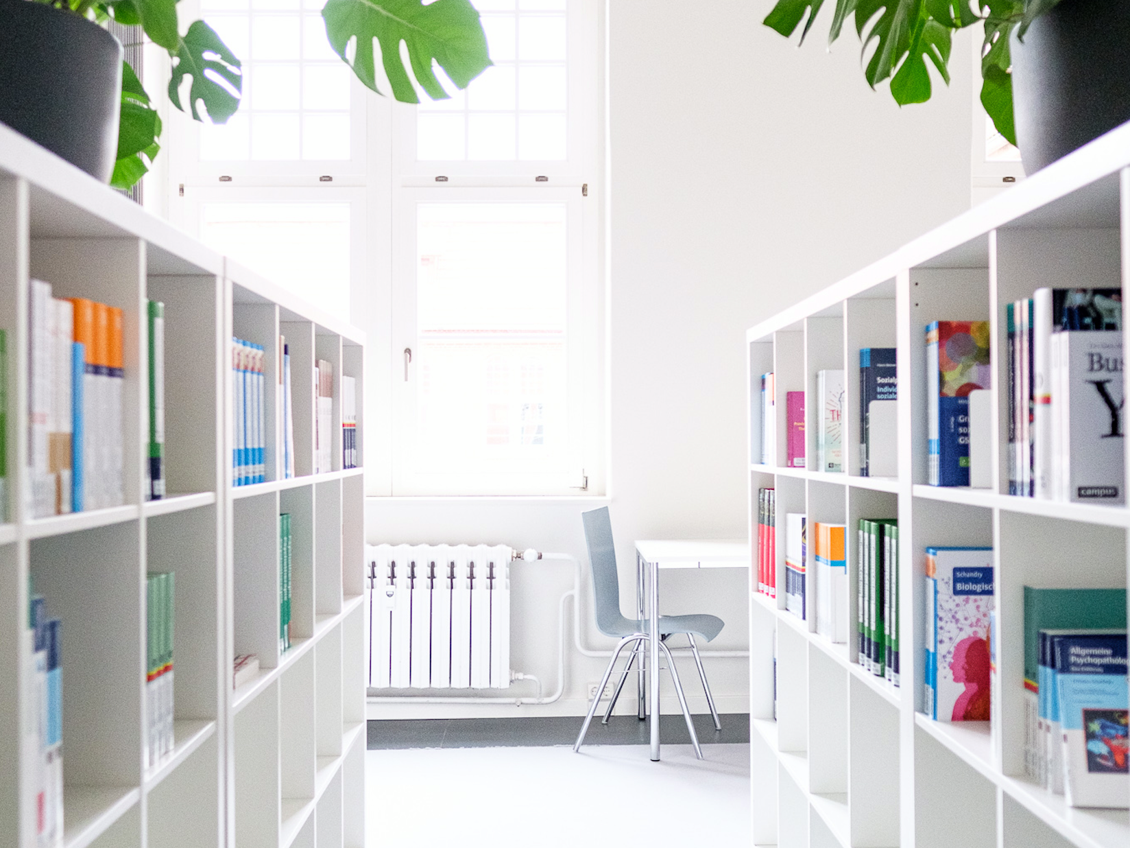 Heller Bibliotheksraum mit Bücherregalen, einem Tisch und einem Stuhl vor einem großen Fenster.