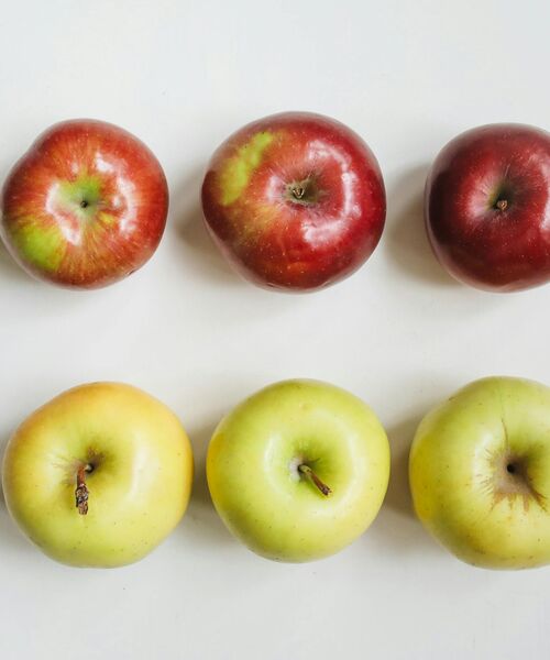Sechs Äpfel in zwei Reihen, oben rot und unten grün – Symbol für Vielfalt und gesunde Ernährung.