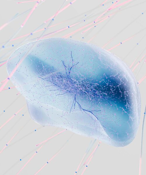 Abstrakte Darstellung eines Gehirns mit vernetzten Linien – Symbol für Denken, Forschung und neuronale Prozesse.